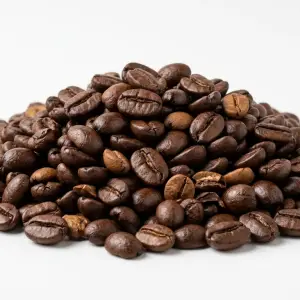 Premium Dried Cocoa Beans