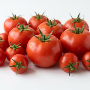 Fresh Tomatoes
